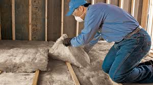 Best Radiant Barrier Insulation  in Hamburg, IA